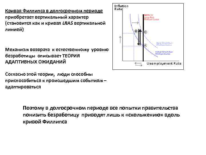 Кривая Филлипса в долгосрочном периоде приобретает вертикальный характер (становится как и кривая LRAS вертикальной