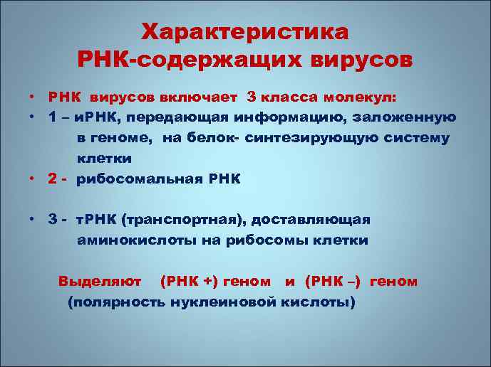 Характеристика РНК-содержащих вирусов • РНК вирусов включает 3 класса молекул: • 1 – и.