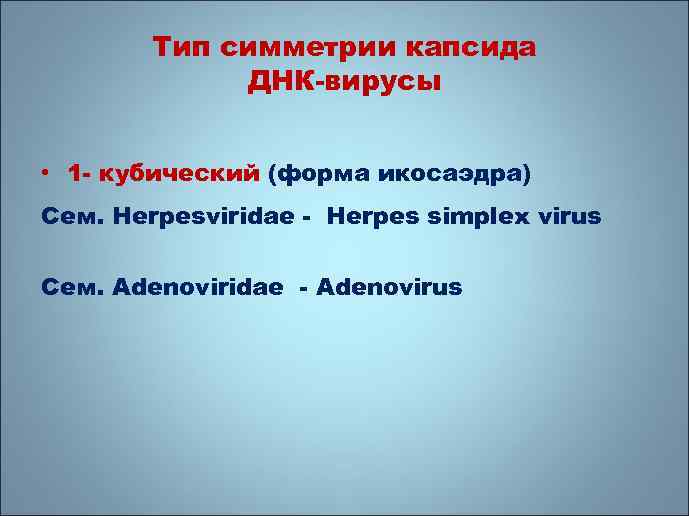 Тип симметрии капсида ДНК-вирусы • 1 - кубический (форма икосаэдра) Сем. Herpesviridae - Herpes