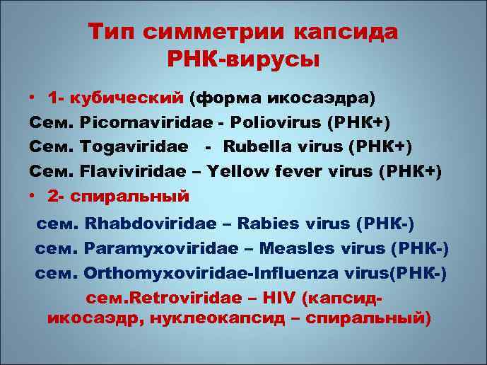 Тип симметрии капсида РНК-вирусы • 1 - кубический (форма икосаэдра) Сем. Picornaviridae - Poliovirus