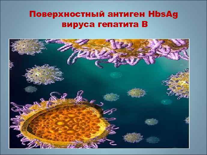 Поверхностный антиген Hbs. Ag вируса гепатита В 