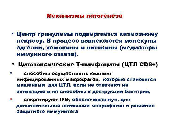 Механизмы патогенеза • Центр гранулемы подвергается казеозному некрозу. В процесс вовлекаются молекулы адгезии, хемокины