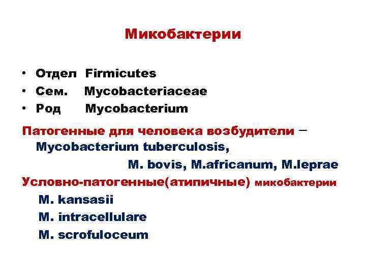 Микобактерии • Отдел Firmicutes • Сем. Mycobacteriaceae • Род Mycobacterium Патогенные для человека возбудители