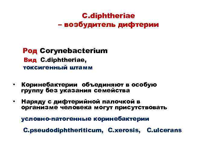 C. diphtheriae – возбудитель дифтерии Род Corynebacterium Вид C. diphtheriae, токсигенный штамм • Коринебактерии