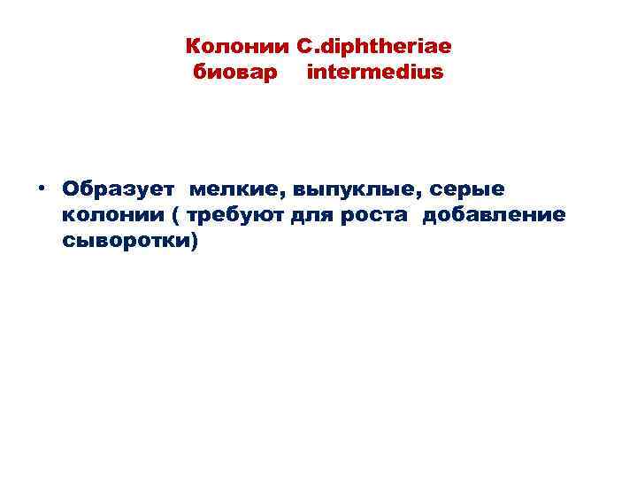 Колонии С. diphtheriae биовар intermedius • Образует мелкие, выпуклые, серые колонии ( требуют для