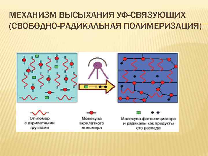 МЕХАНИЗМ ВЫСЫХАНИЯ УФ-СВЯЗУЮЩИХ (СВОБОДНО-РАДИКАЛЬНАЯ ПОЛИМЕРИЗАЦИЯ) 