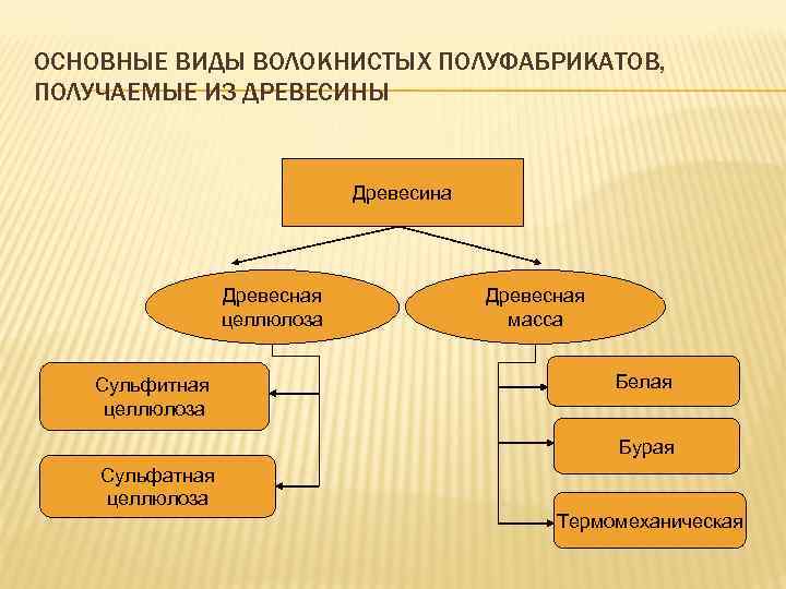 ОСНОВНЫЕ ВИДЫ ВОЛОКНИСТЫХ ПОЛУФАБРИКАТОВ, ПОЛУЧАЕМЫЕ ИЗ ДРЕВЕСИНЫ Древесина Древесная целлюлоза Сульфитная целлюлоза Древесная масса