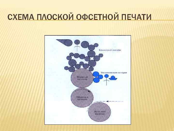 СХЕМА ПЛОСКОЙ ОФСЕТНОЙ ПЕЧАТИ 