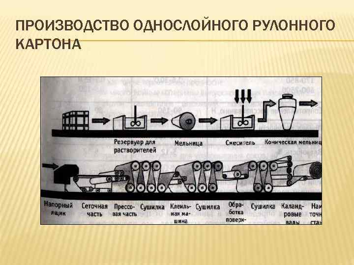 ПРОИЗВОДСТВО ОДНОСЛОЙНОГО РУЛОННОГО КАРТОНА 