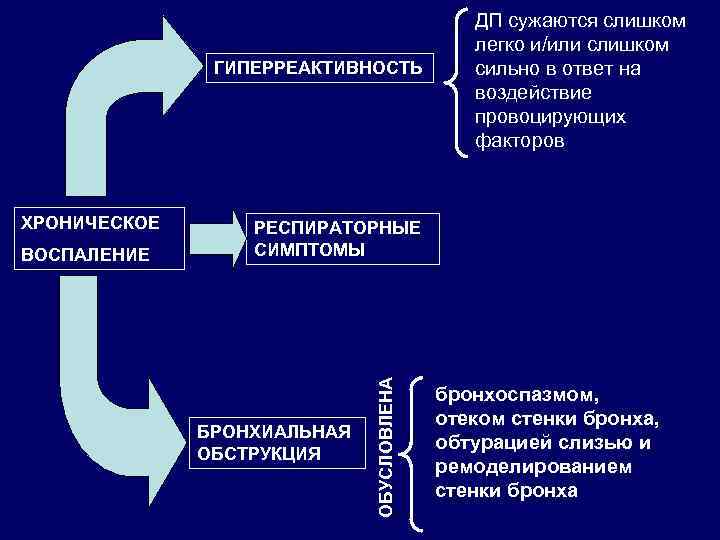 ГИПЕРРЕАКТИВНОСТЬ ВОСПАЛЕНИЕ РЕСПИРАТОРНЫЕ СИМПТОМЫ БРОНХИАЛЬНАЯ ОБСТРУКЦИЯ ОБУСЛОВЛЕНА ХРОНИЧЕСКОЕ ДП сужаются слишком легко и/или слишком