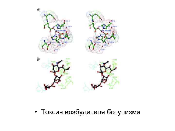  • Токсин возбудителя ботулизма 