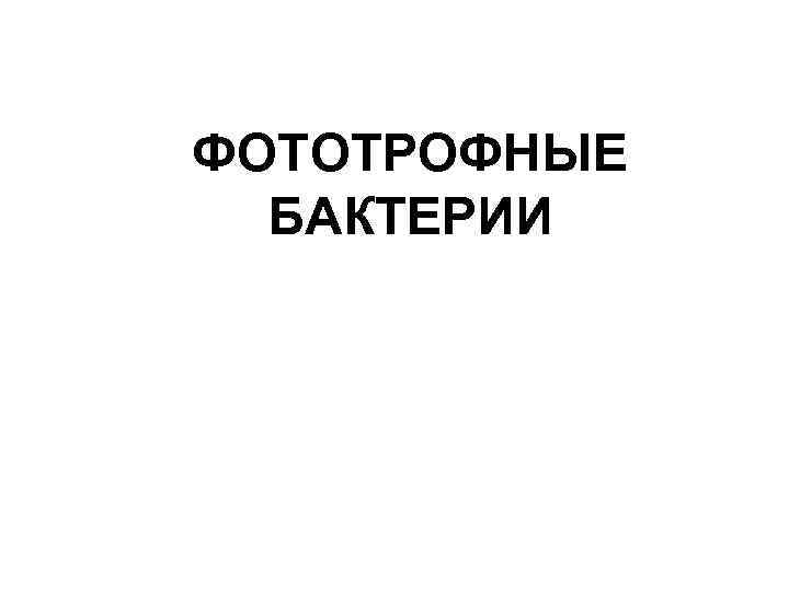 ФОТОТРОФНЫЕ БАКТЕРИИ 