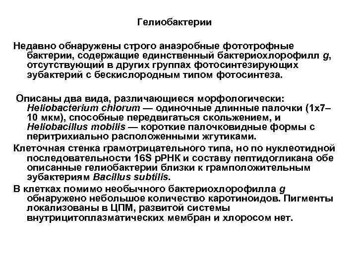 Гелиобактерии Недавно обнаружены строго анаэробные фототрофные бактерии, содержащие единственный бактериохлорофилл g, отсутствующий в других