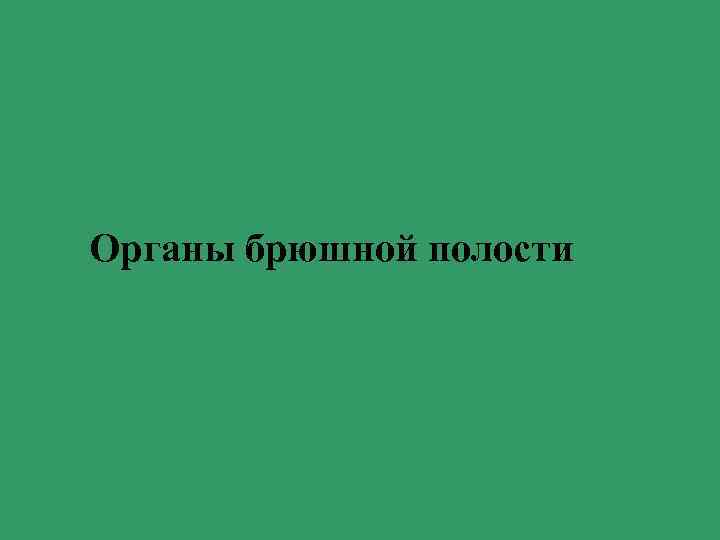 Органы брюшной полости 