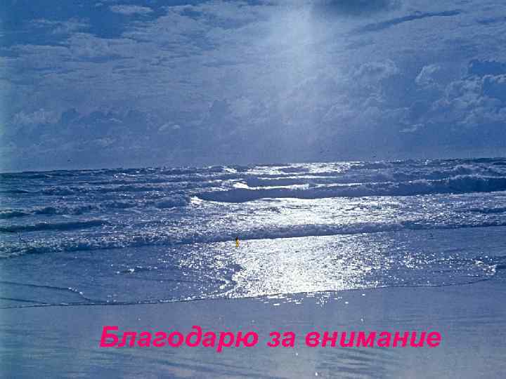 Благодарю за внимание 