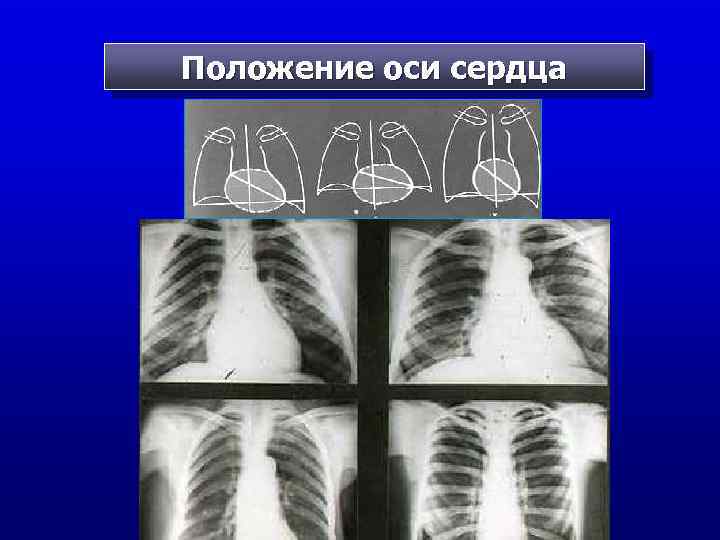 Основы лучевой диагностики от изображения к диагнозу