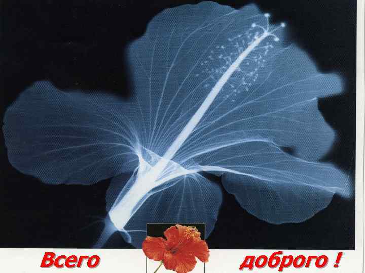 Всего доброго ! 