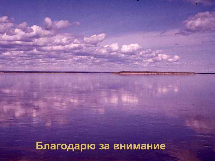 Благодарю за внимание 