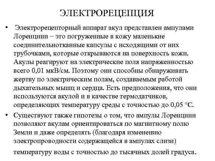 ЭЛЕКТРОРЕЦЕПЦИЯ • Электрорецепторный аппарат акул представлен ампулами Лоренцини − это погруженные в кожу маленькие