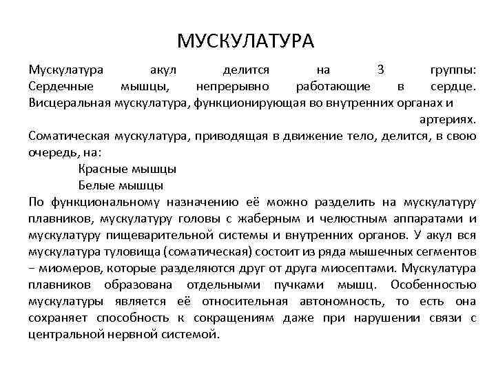 МУСКУЛАТУРА Мускулатура акул делится на 3 группы: Сердечные мышцы, непрерывно работающие в сердце. Висцеральная