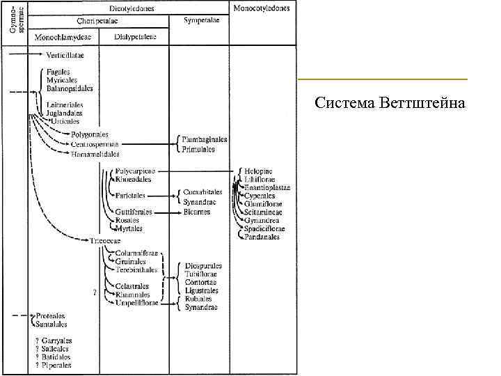 Система Веттштейна 