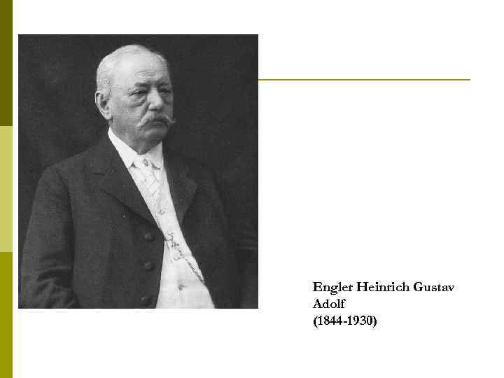 Engler Heinrich Gustav Adolf (1844 -1930) 