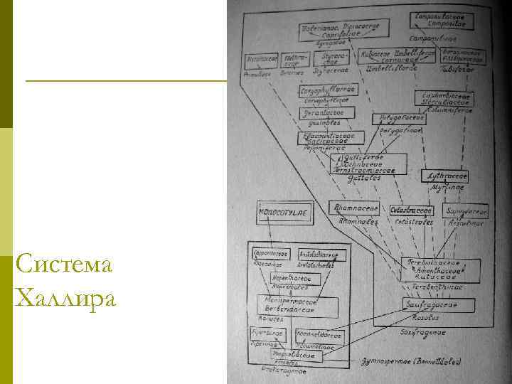 Система Халлира 