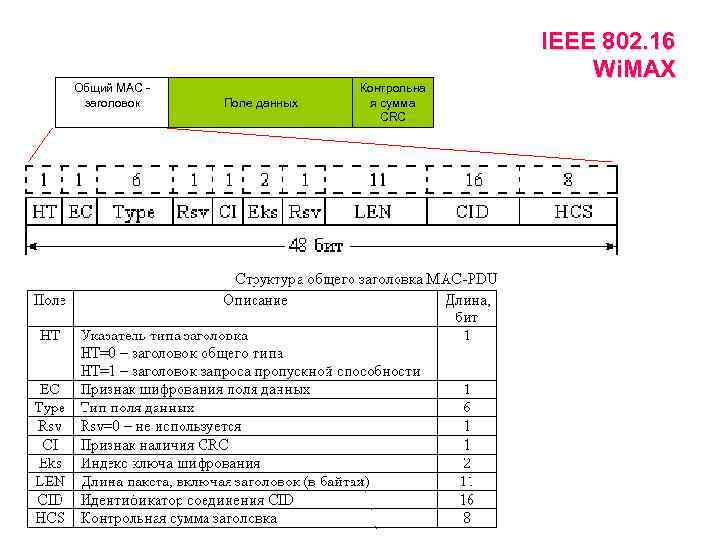 Общий МАС заголовок Поле данных Контрольна я сумма CRC IEEE 802. 16 Wi. MAX