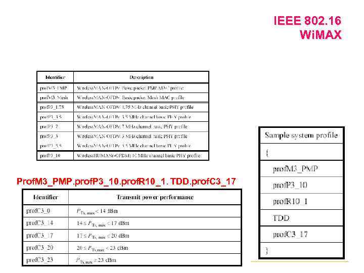 IEEE 802. 16 Wi. MAX Prof. M 3_РМР. prof. P 3_10. prof. R 10_1.