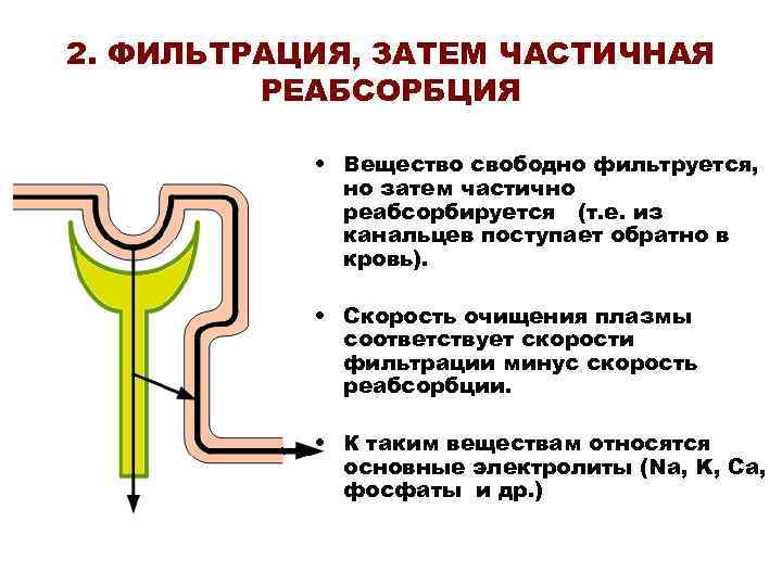 Фильтрация мочи. Фильтрация реабсорбция клиренс почечный порог. Скорость реабсорбции. Креатинин фильтрация реабсорбция. Клиренс реабсорбции.