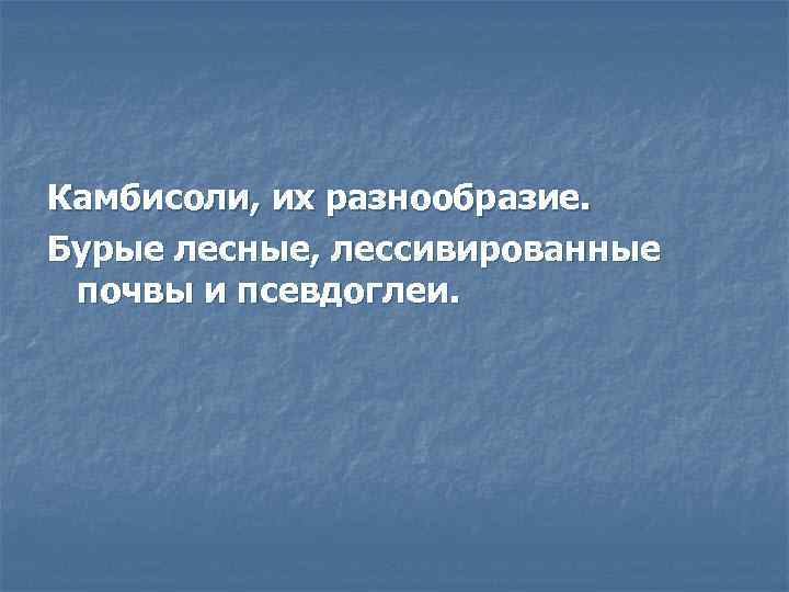 Камбисоли, их разнообразие. Бурые лесные, лессивированные почвы и псевдоглеи. 
