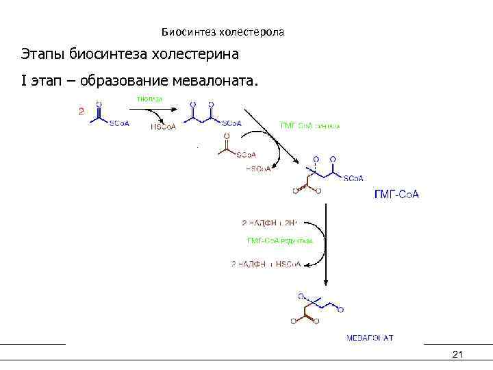 Схема синтеза холестерола