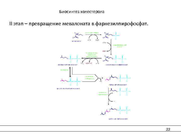  Биосинтез холестерола II этап – превращение мевалоната в фарнезилпирофосфат. 22 
