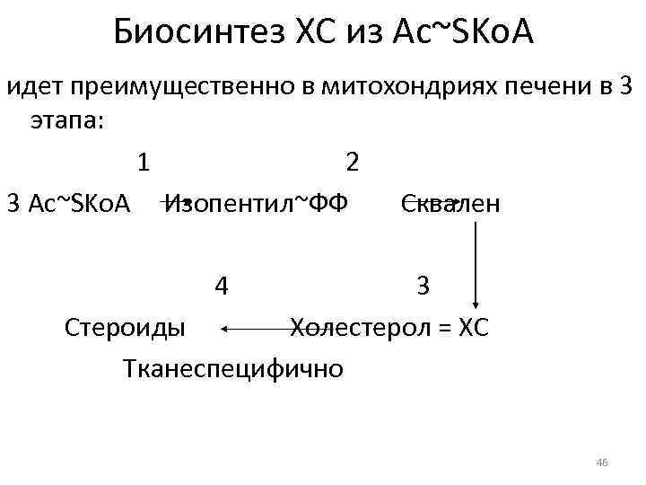 Биосинтез ХС из Ac~SKo. A идет преимущественно в митохондриях печени в 3 этапа: 1