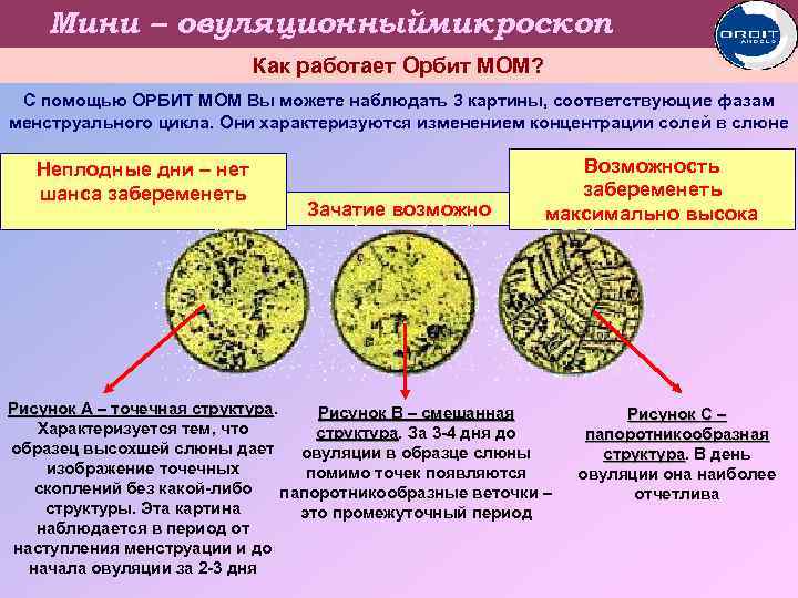 Мини – овуляционныймикроскоп Как работает Орбит МОМ? С помощью ОРБИТ МОМ Вы можете наблюдать