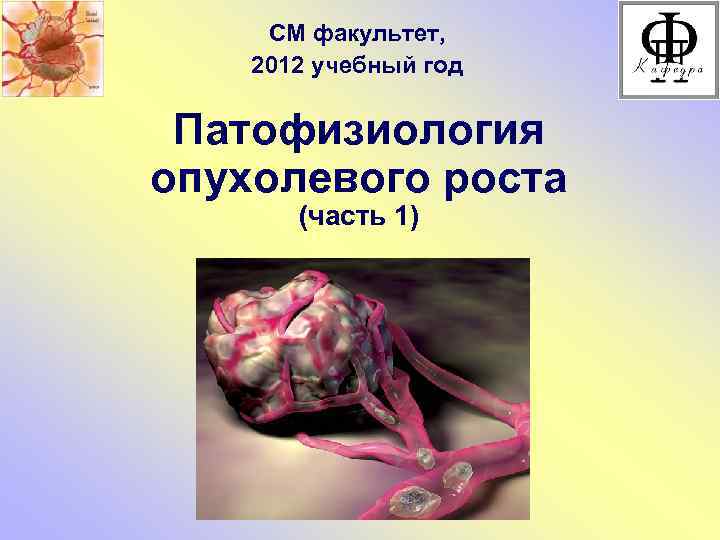 CМ факультет, 2012 учебный год Патофизиология опухолевого роста (часть 1) 