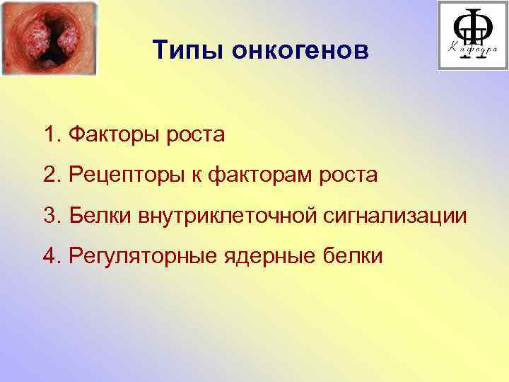 Типы онкогенов 1. Факторы роста 2. Рецепторы к факторам роста 3. Белки внутриклеточной сигнализации