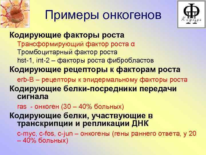 Примеры онкогенов Кодирующие факторы роста Трансформирующий фактор роста α Тромбоцитарный фактор роста hst-1, int-2