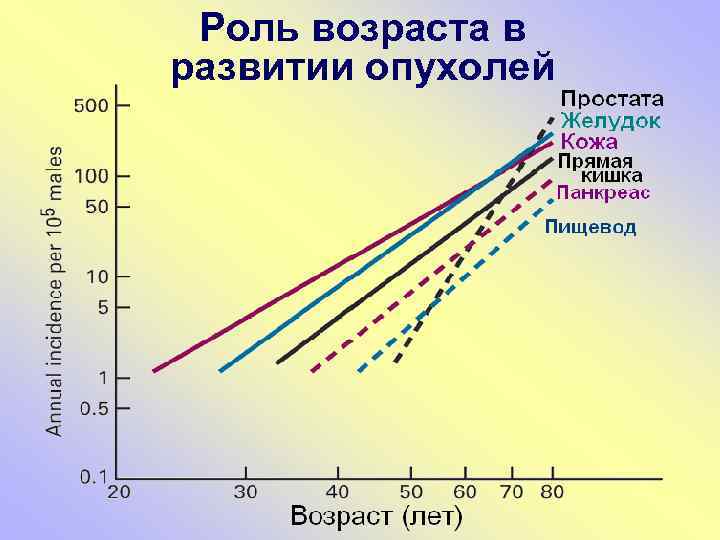 Роль возраста в развитии опухолей 
