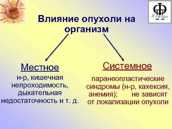 Влияние опухоли на организм Местное Системное н-р, кишечная непроходимость, дыхательная недостаточность и т. д.