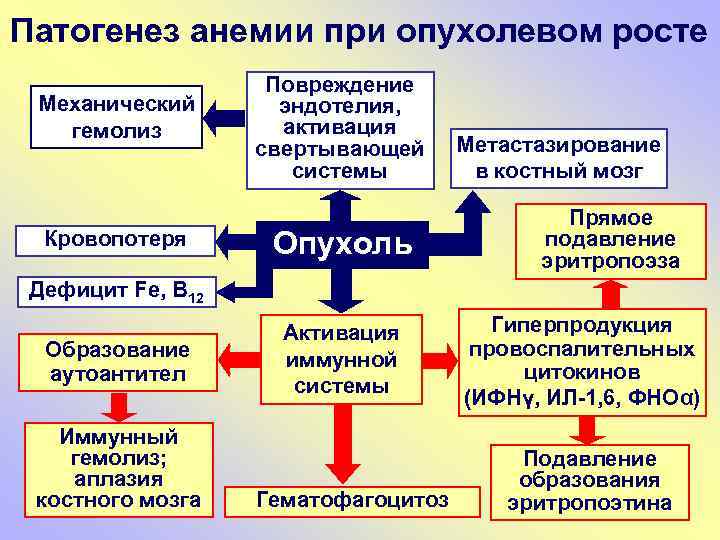 Патогенез анемии при опухолевом росте Механический гемолиз Кровопотеря Повреждение эндотелия, активация свертывающей системы Опухоль