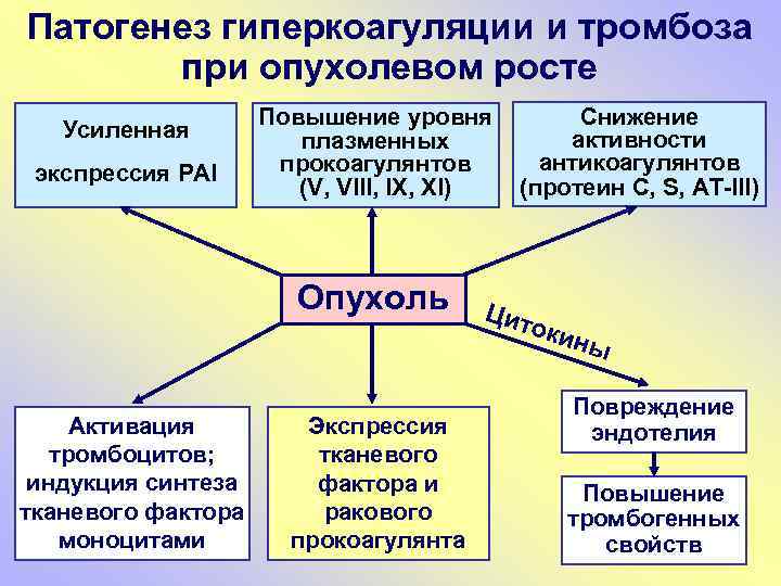 Патогенез гиперкоагуляции и тромбоза при опухолевом росте Усиленная экспрессия PAI Повышение уровня плазменных прокоагулянтов