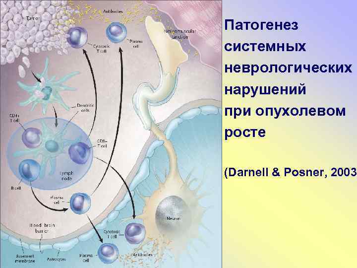 Патогенез системных неврологических нарушений при опухолевом росте (Darnell & Posner, 2003 