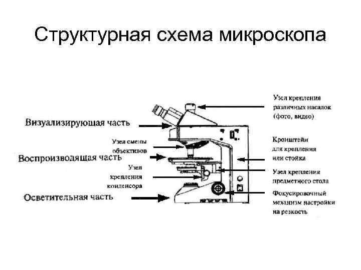 Схема цифрового микроскопа