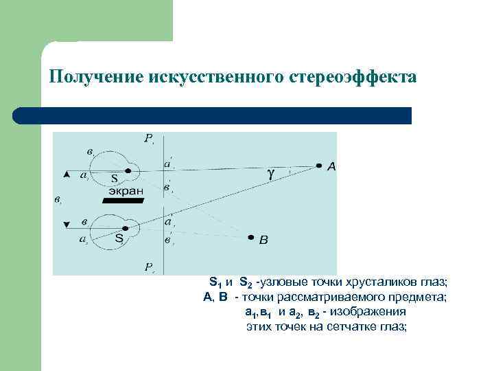 Получение искусственного стереоэффекта S 1 и S 2 -узловые точки хрусталиков глаз; А, В