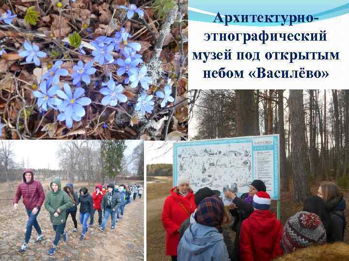 Архитектурноэтнографический музей под открытым небом «Василёво» 