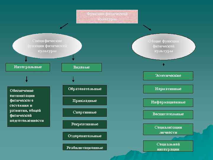 Функции физической культуры Специфические функции физической культуры Интегральные Общие функции физической культуры Видовые Эстетические