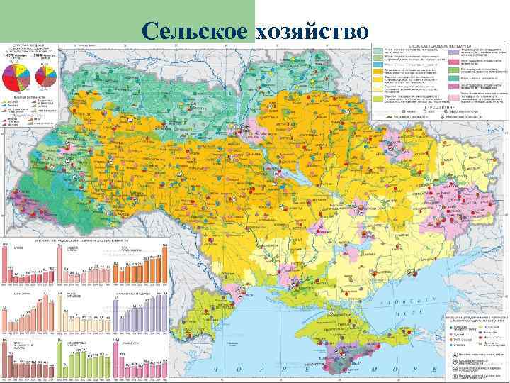 Сельское хозяйство 