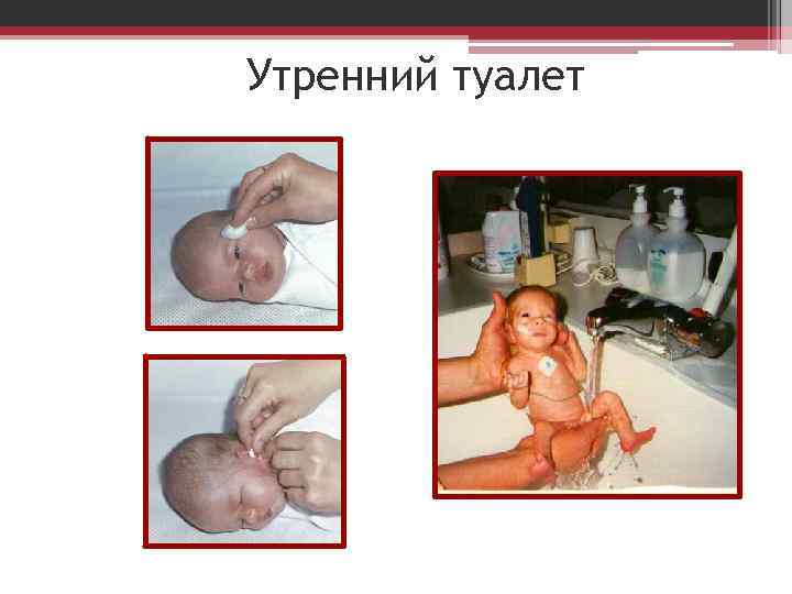 Утренний туалет 