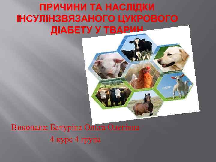 ПРИЧИНИ ТА НАСЛІДКИ ІНСУЛІНЗВЯЗАНОГО ЦУКРОВОГО ДІАБЕТУ У ТВАРИН Виконала: Бачуріна Ольга Олегівна 4 курс